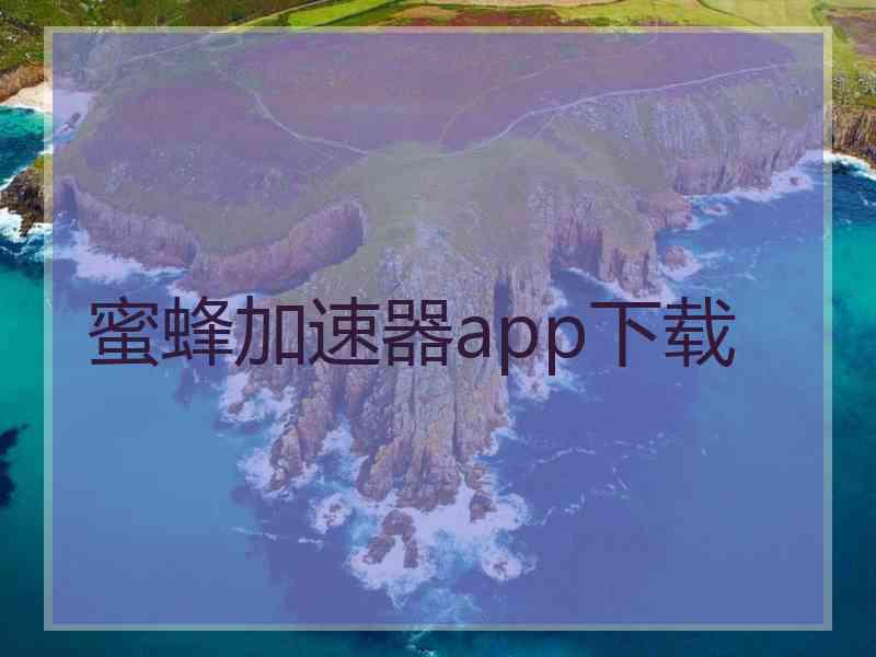 蜜蜂加速器app下载