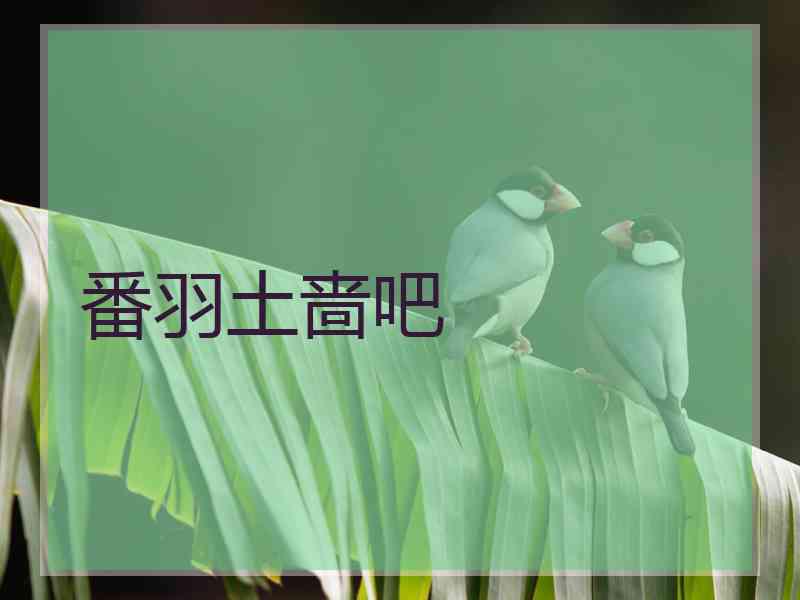 番羽土啬吧