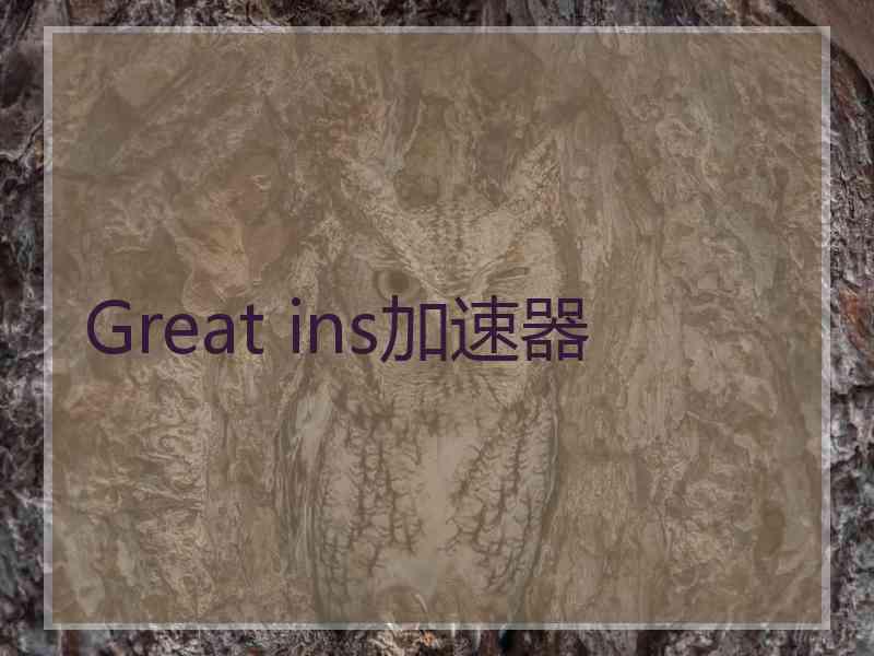 Great ins加速器