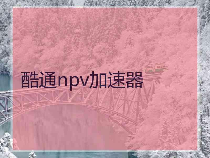 酷通npv加速器