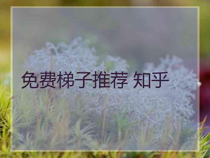 免费梯子推荐 知乎