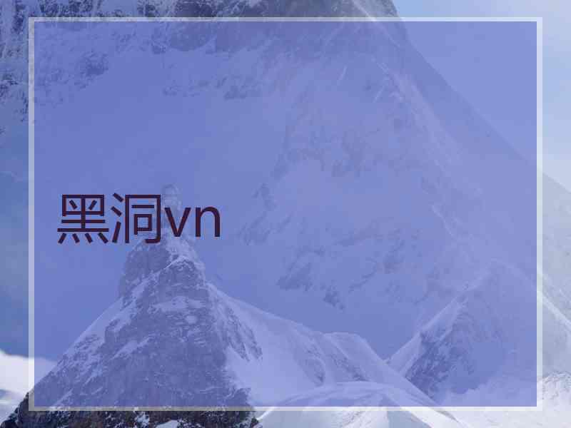 黑洞vn