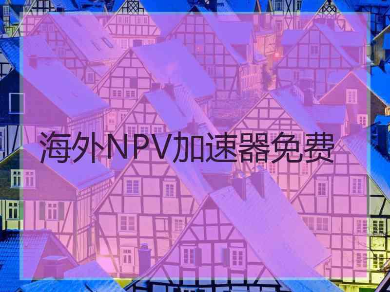 海外NPV加速器免费