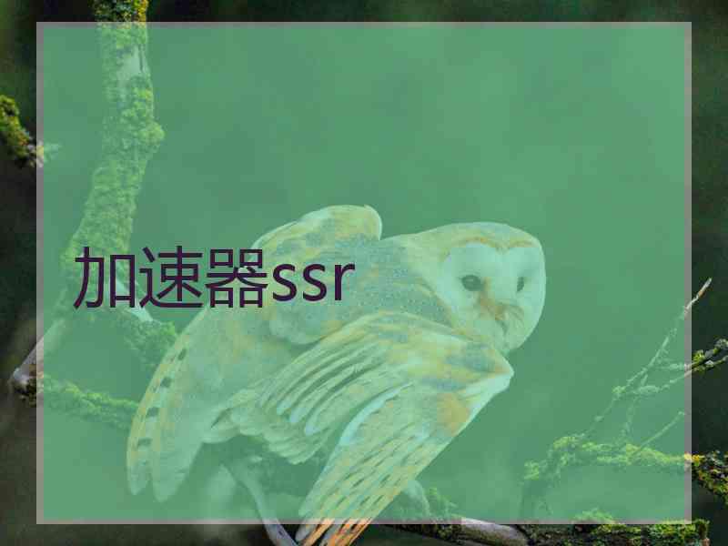加速器ssr