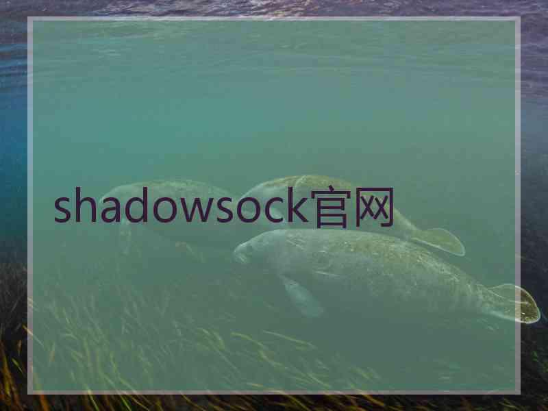 shadowsock官网