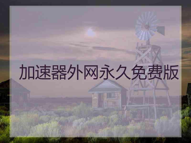 加速器外网永久免费版