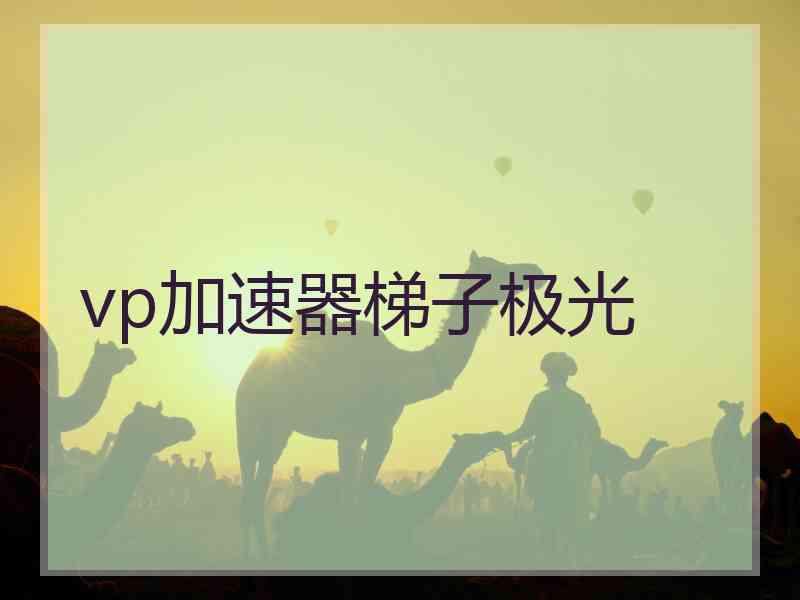 vp加速器梯子极光