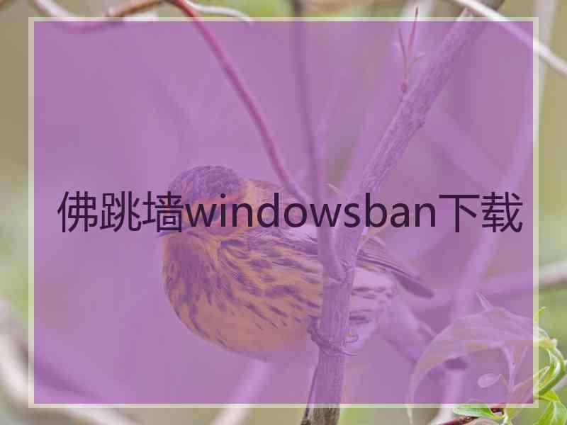 佛跳墙windowsban下载