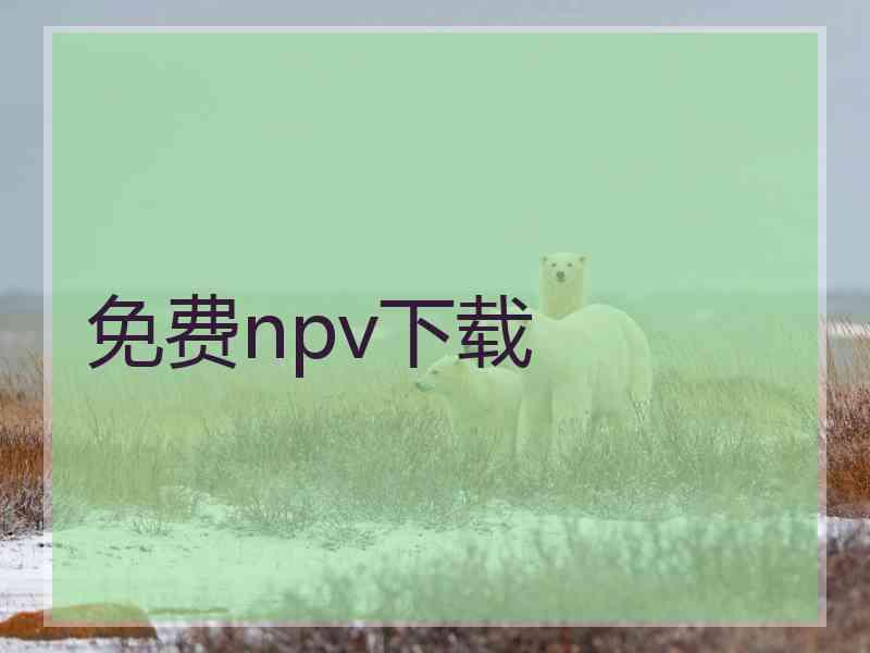 免费npv下载