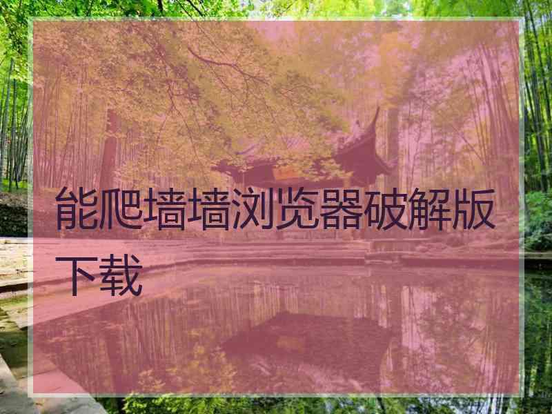 能爬墙墙浏览器破解版下载