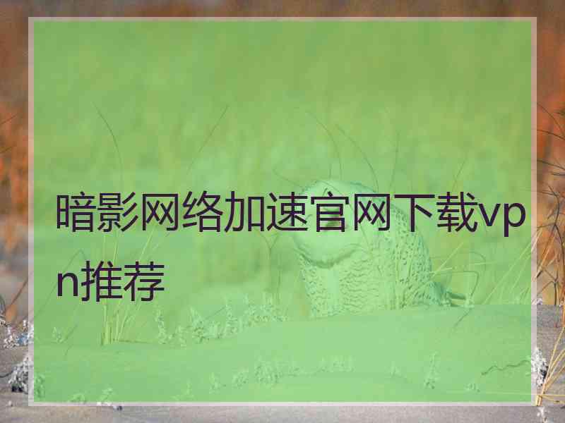 暗影网络加速官网下载vpn推荐