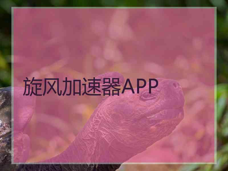 旋风加速器APP