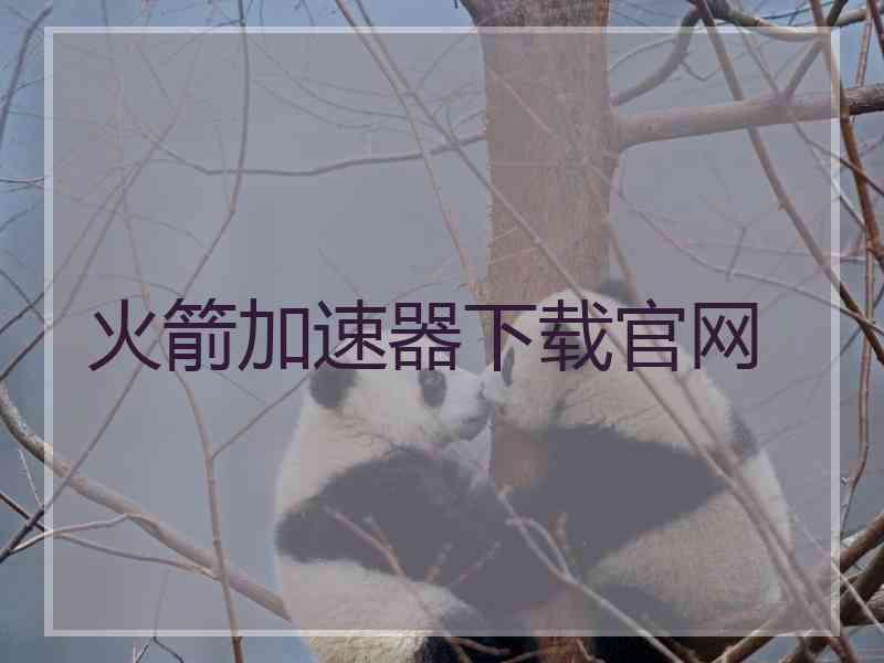 火箭加速器下载官网