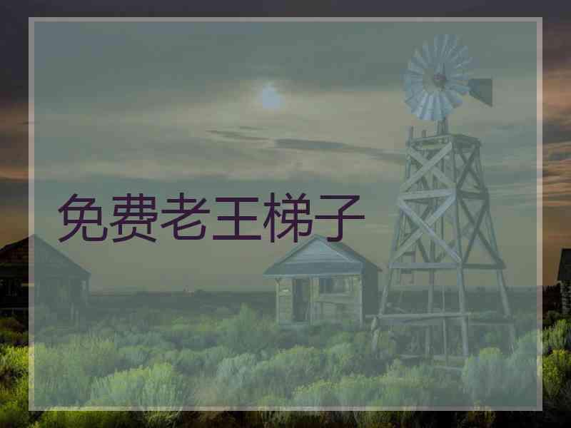免费老王梯子