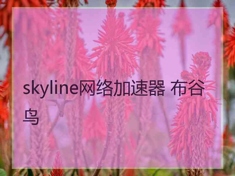 skyline网络加速器 布谷鸟