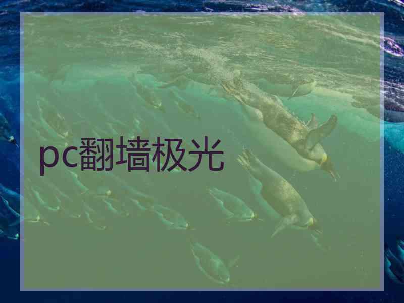 pc翻墙极光