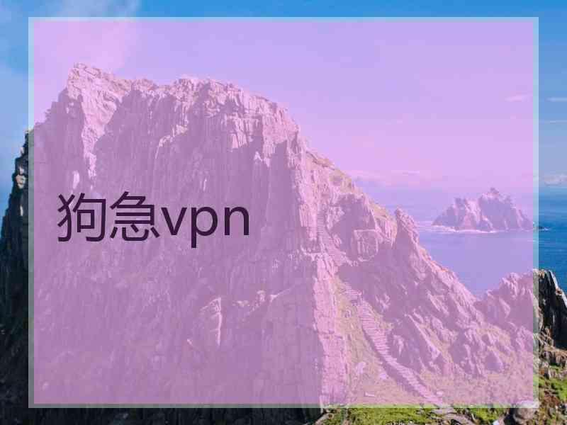 狗急vpn