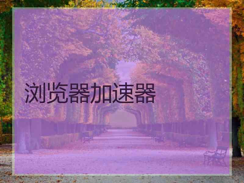 浏览器加速器