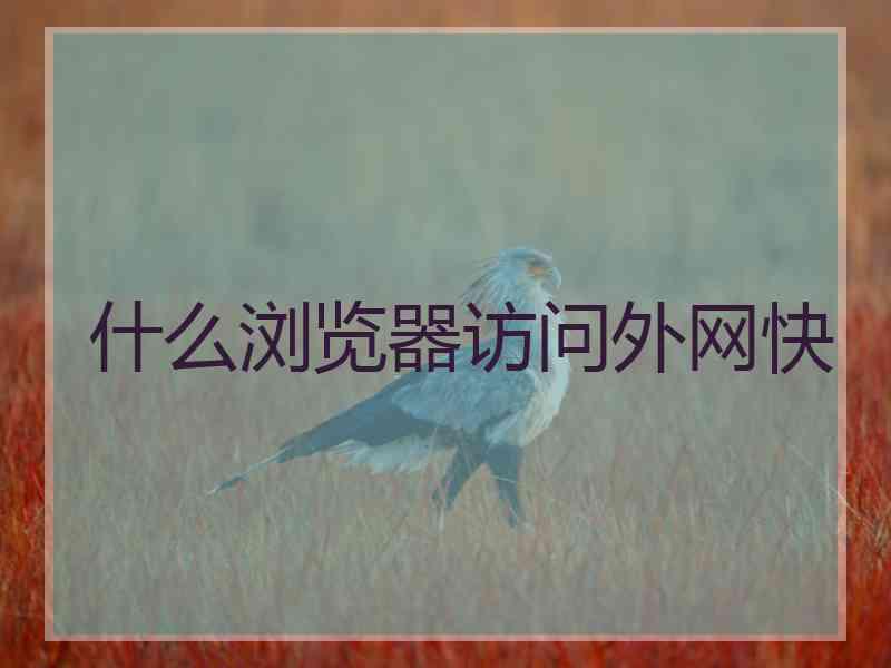 什么浏览器访问外网快