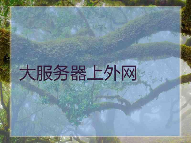 大服务器上外网