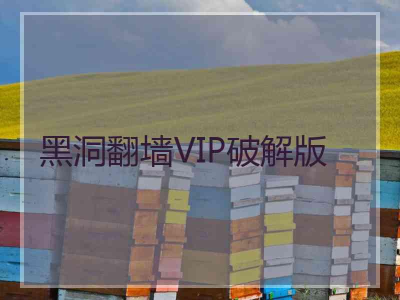 黑洞翻墙VIP破解版