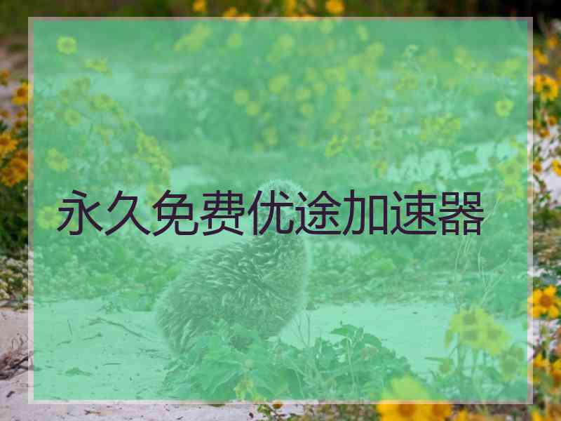 永久免费优途加速器