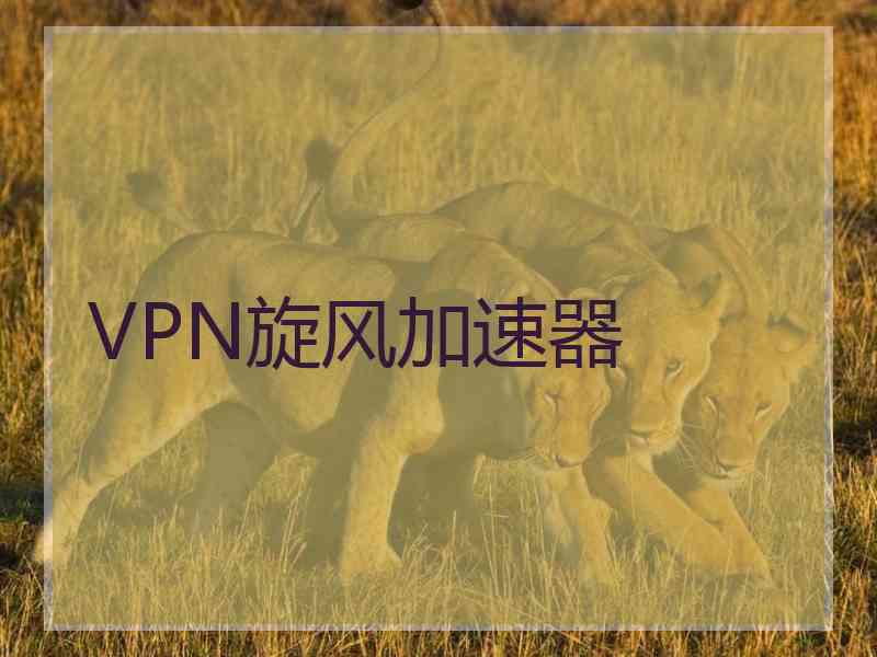 VPN旋风加速器