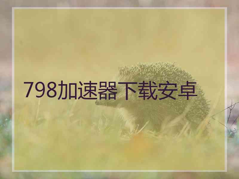 798加速器下载安卓