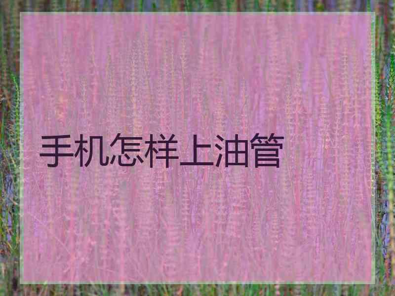 手机怎样上油管