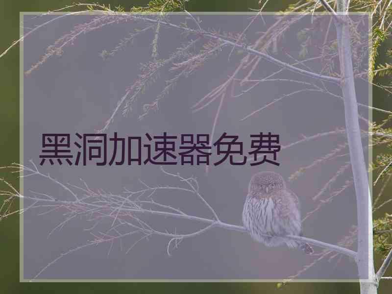 黑洞加速器免费
