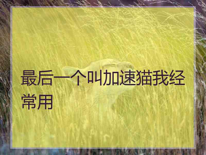 最后一个叫加速猫我经常用