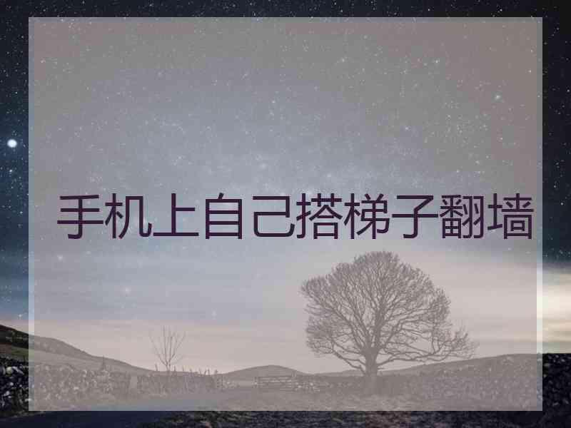 手机上自己搭梯子翻墙