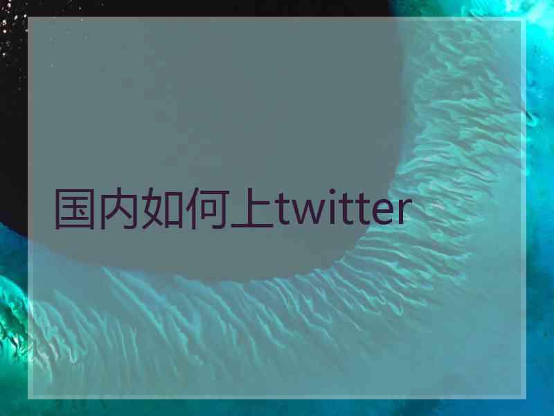 国内如何上twitter