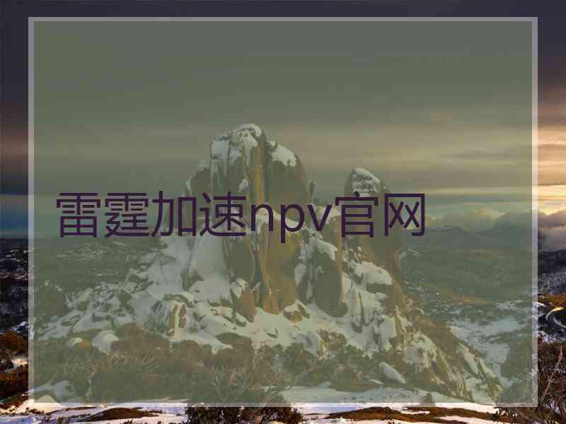 雷霆加速npv官网