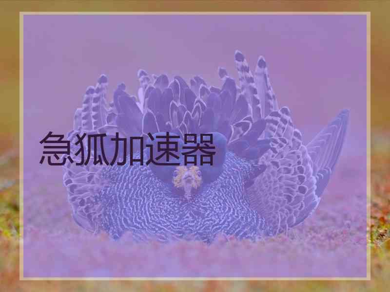 急狐加速器