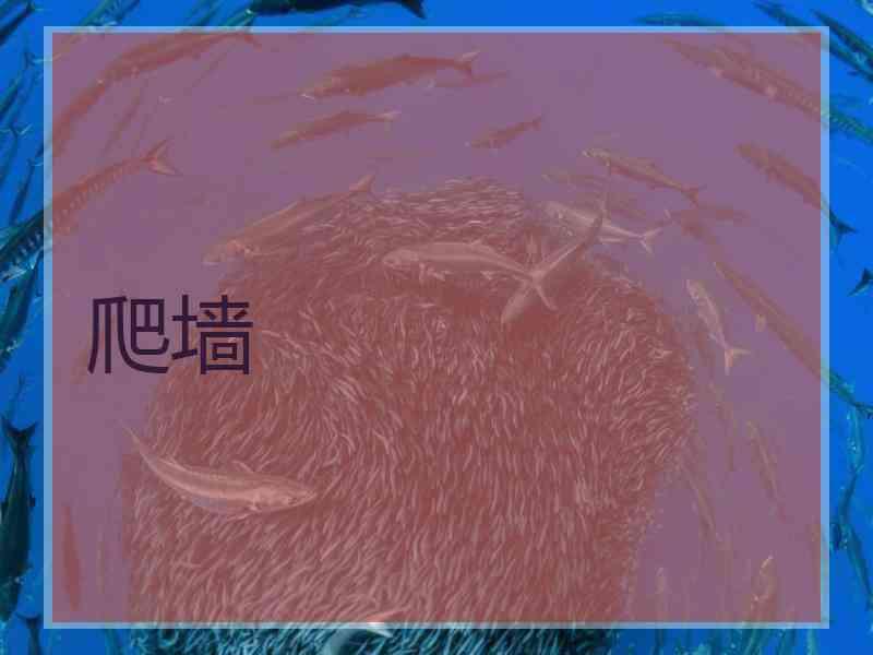 爬墙