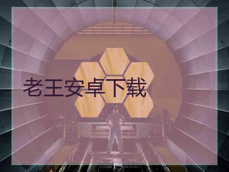 老王安卓下载