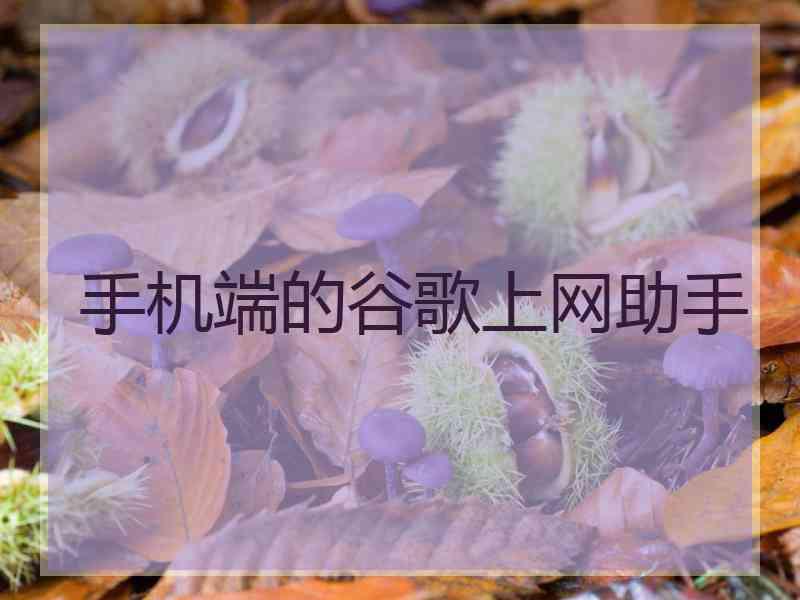 手机端的谷歌上网助手