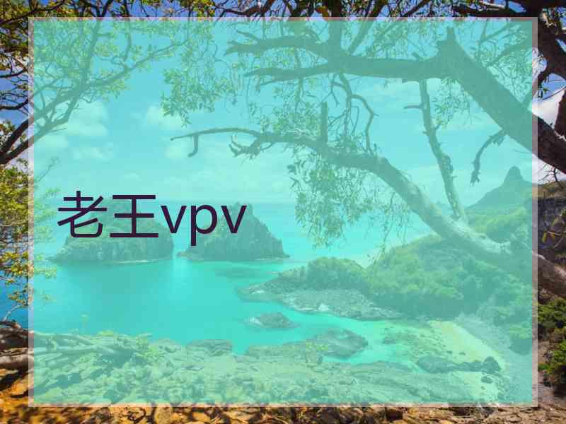 老王vpv