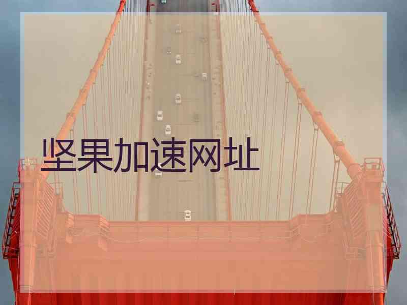 坚果加速网址