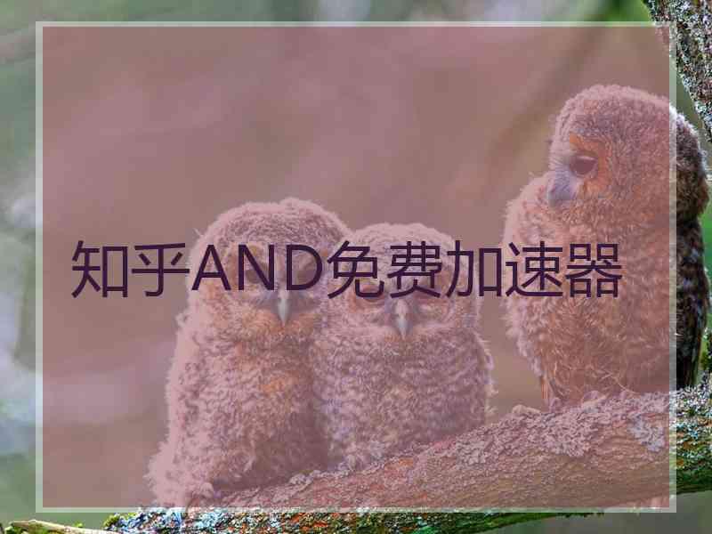知乎AND免费加速器