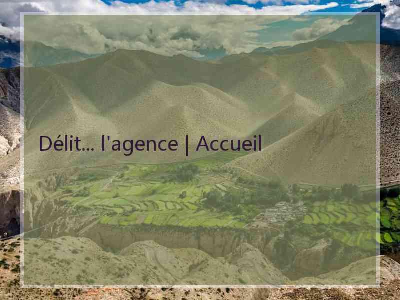 Délit... l'agence | Accueil