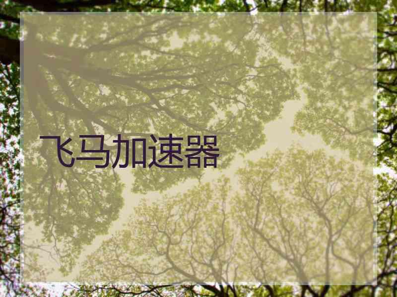 飞马加速器