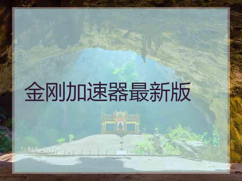 金刚加速器最新版