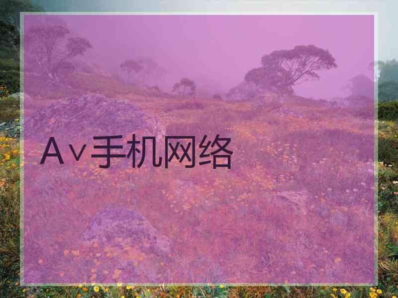 A∨手机网络