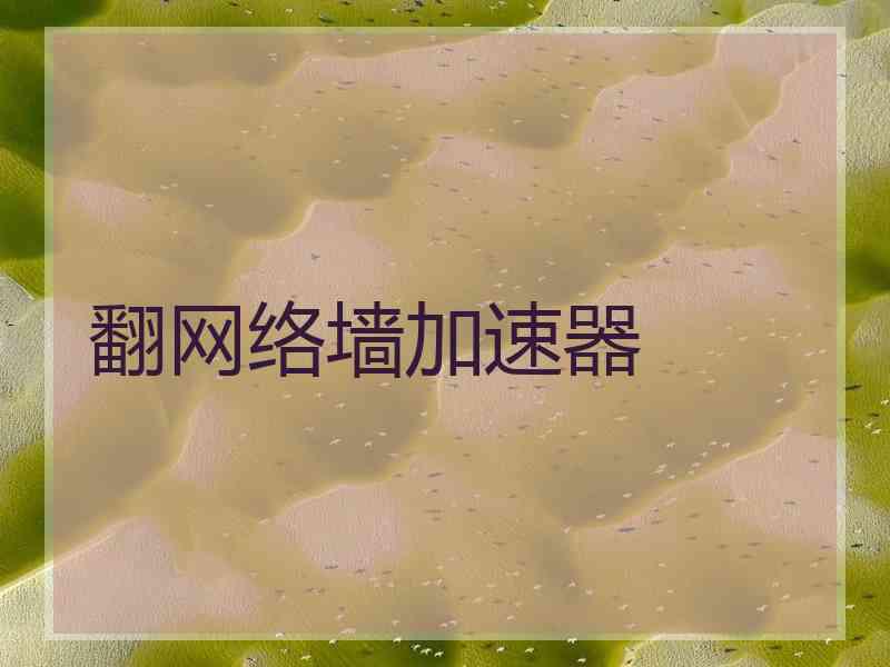 翻网络墙加速器