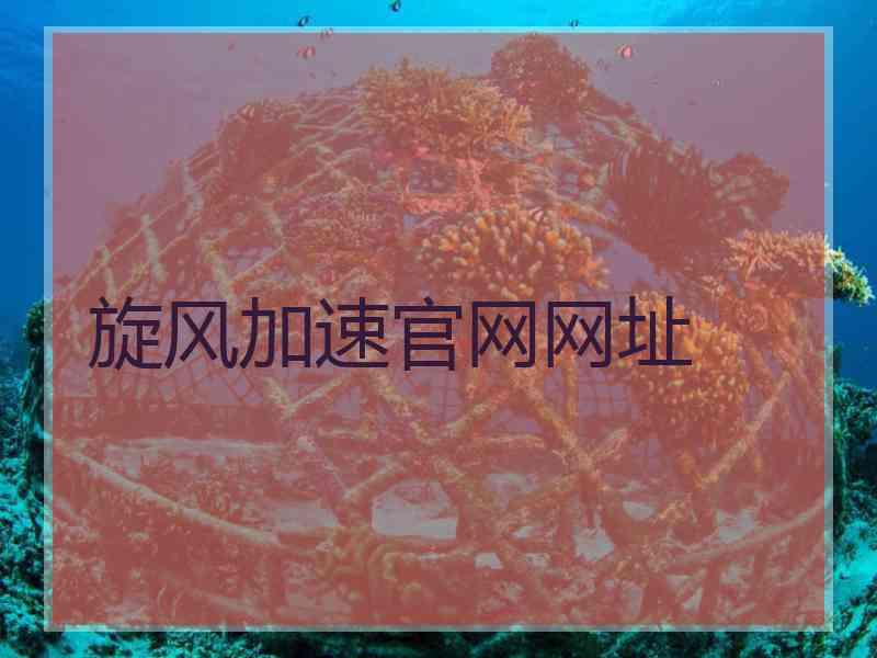 旋风加速官网网址