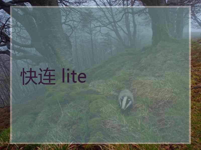 快连 lite