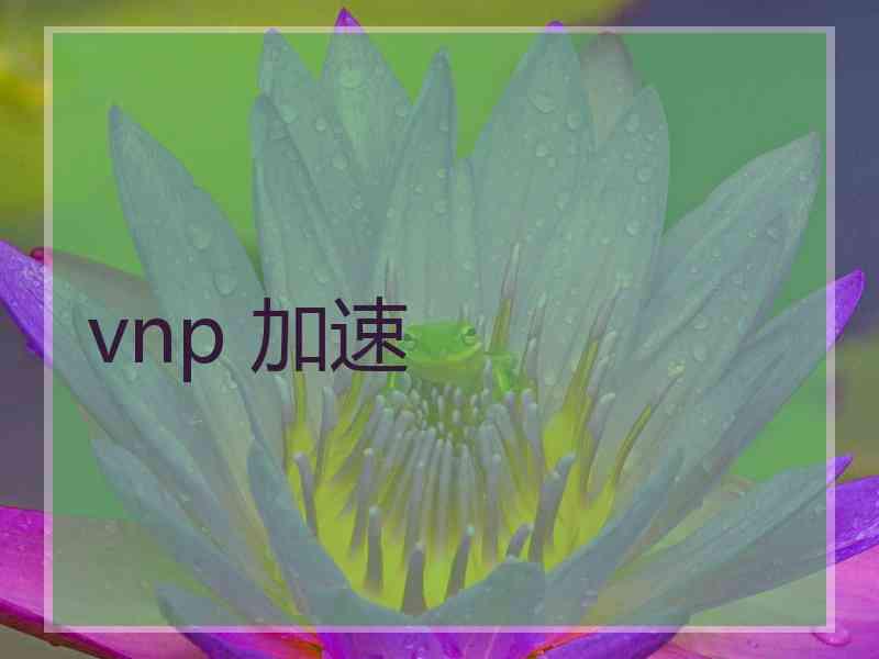 vnp 加速