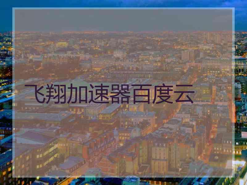 飞翔加速器百度云